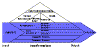 nmod022.gif (3229 Byte)